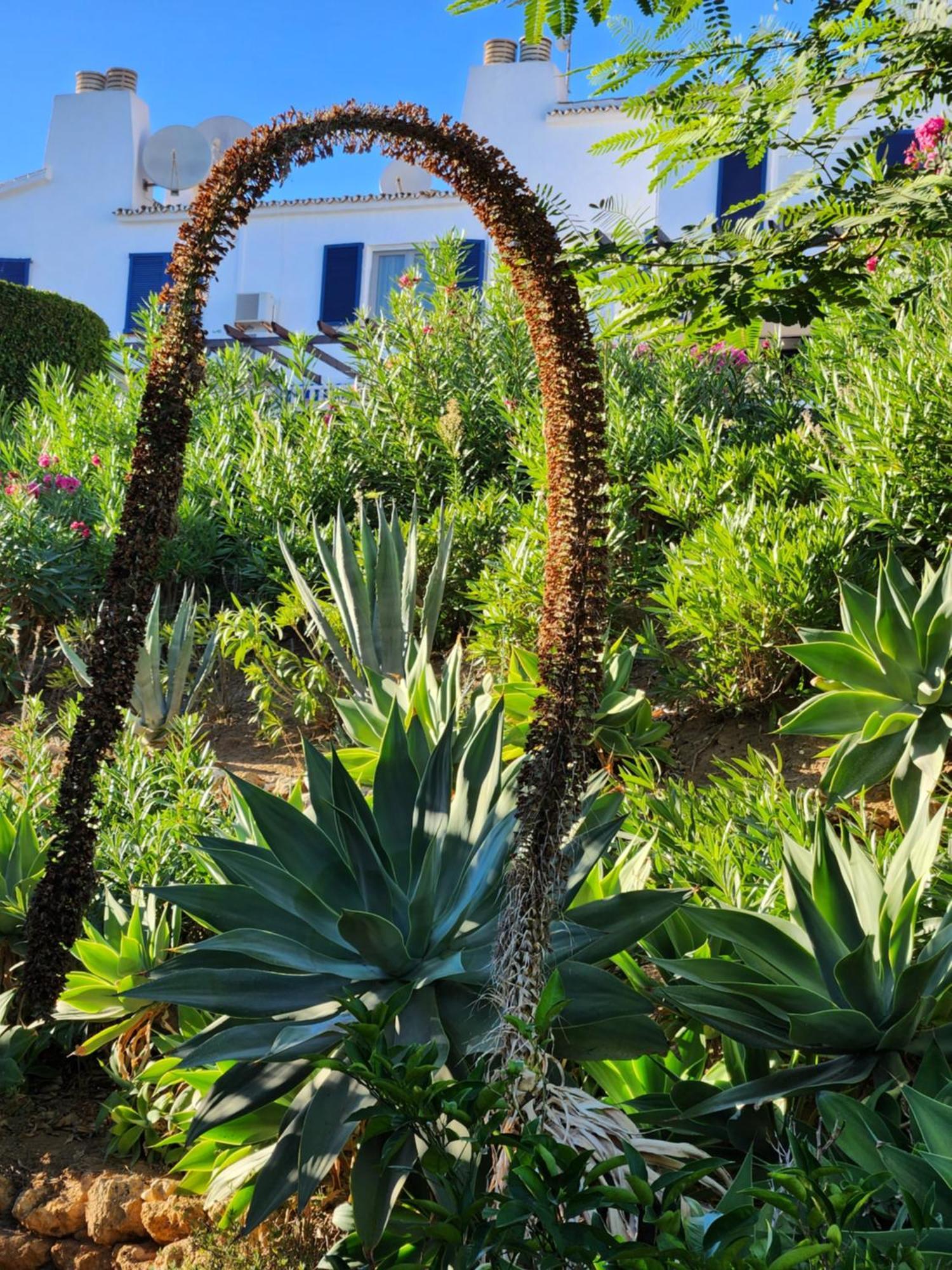 Elena Flat Lovely Paradise Above The Sea Sitio de Calahonda Extérieur photo