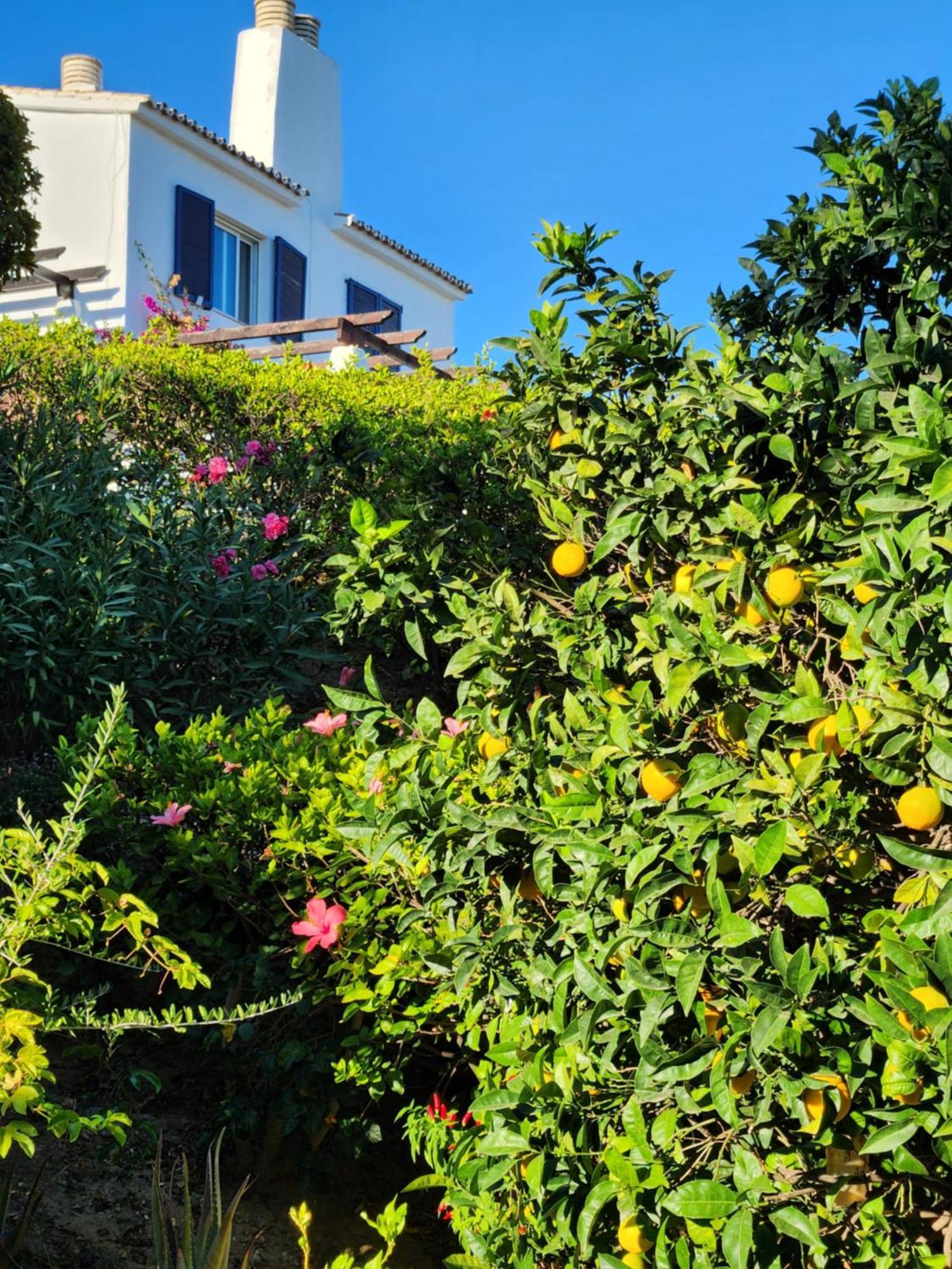 Elena Flat Lovely Paradise Above The Sea Sitio de Calahonda Extérieur photo